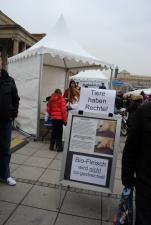 2011-01-29-Germany-Stuttgart-04.JPG