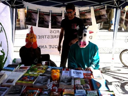 Stand dans les rues basses, à Genève