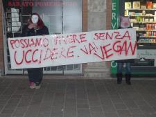 pic4-grosseto-italia-26-01-2013