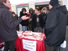 Toulouse-29-01-2011b.JPG