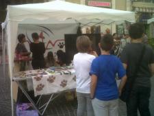 pic_report_grosseto_italy_26_05_2012.jpg